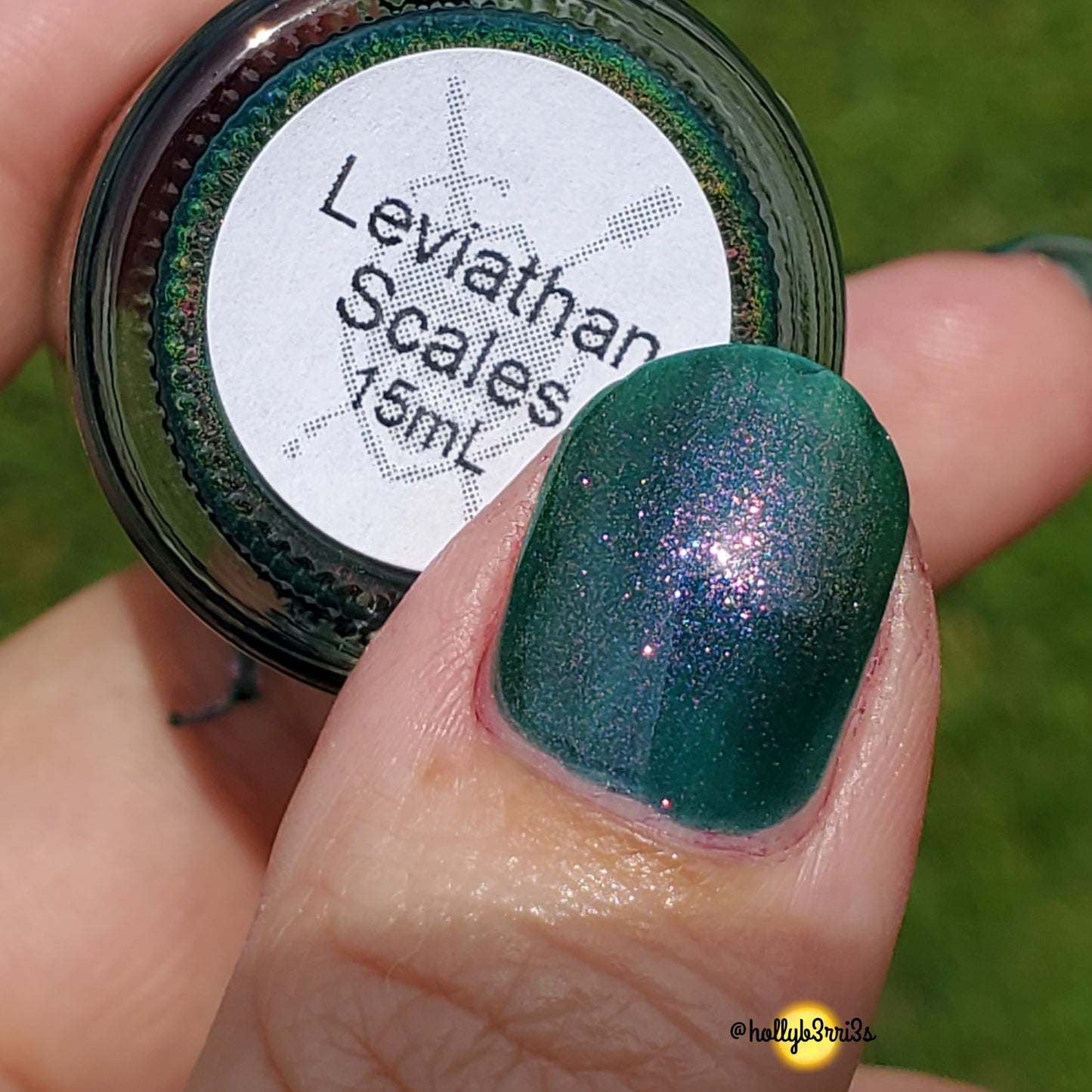Leviathan Scales