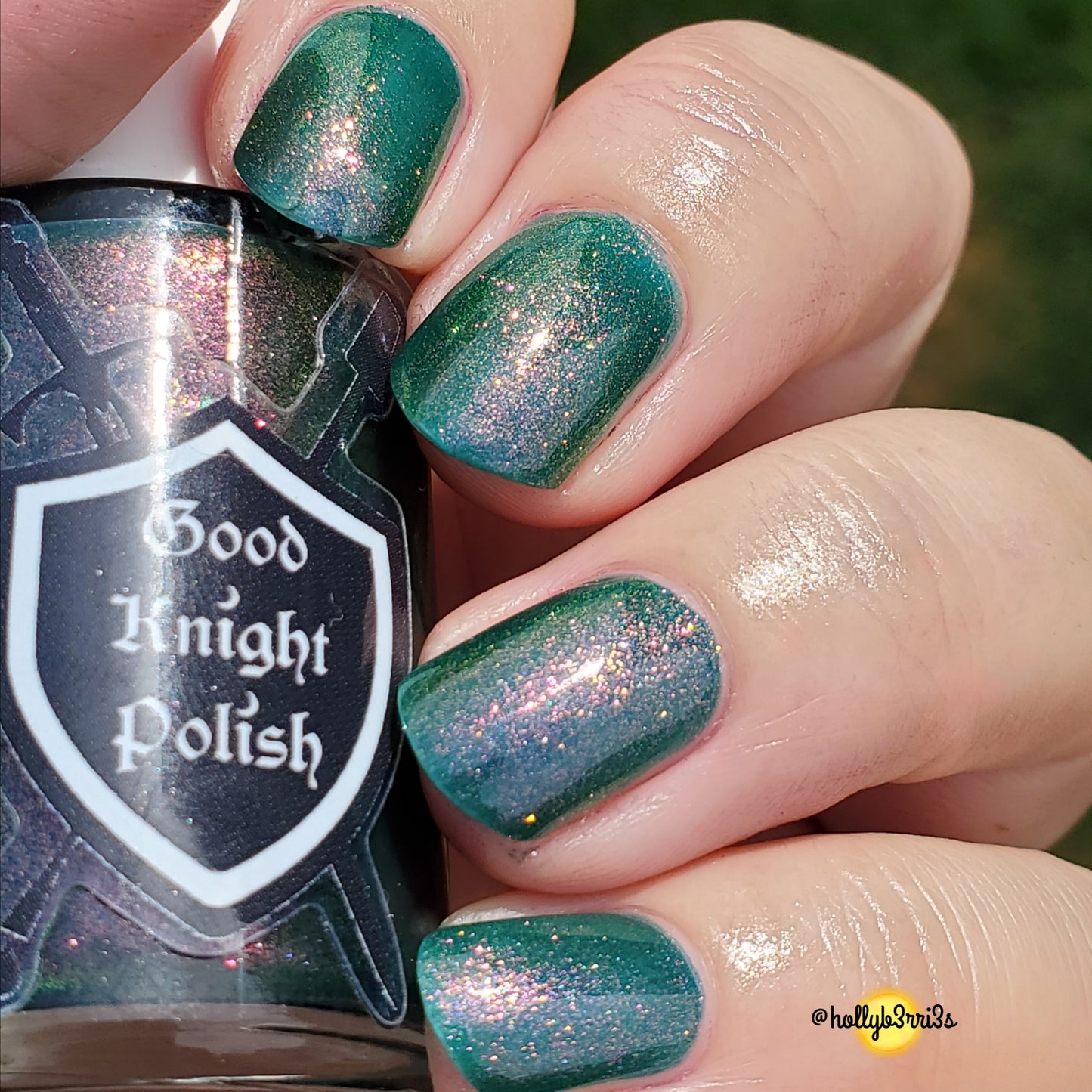 Leviathan Scales