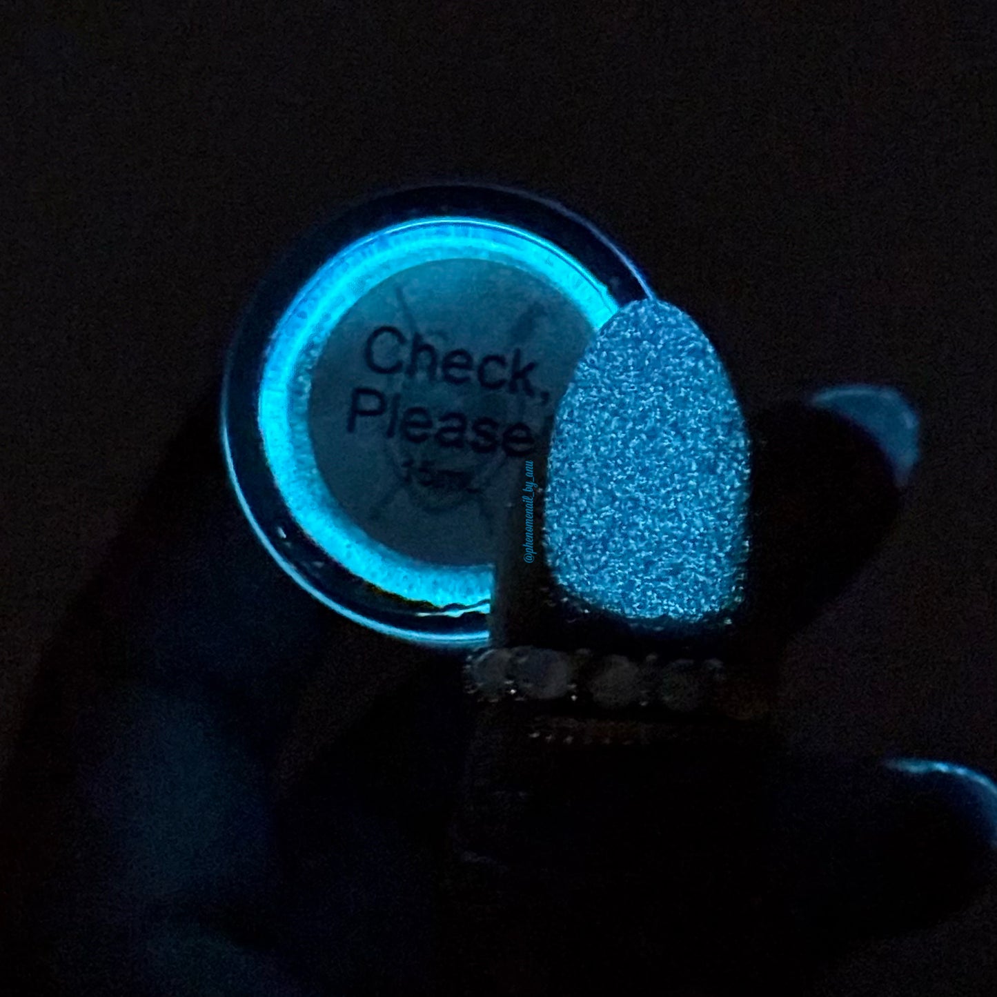 Check, Please!