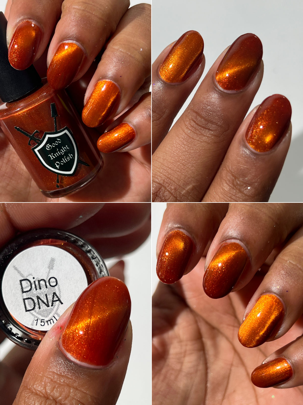 Dino DNA