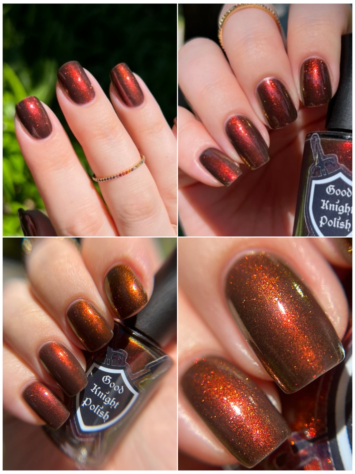 Ashes of the Phoenix