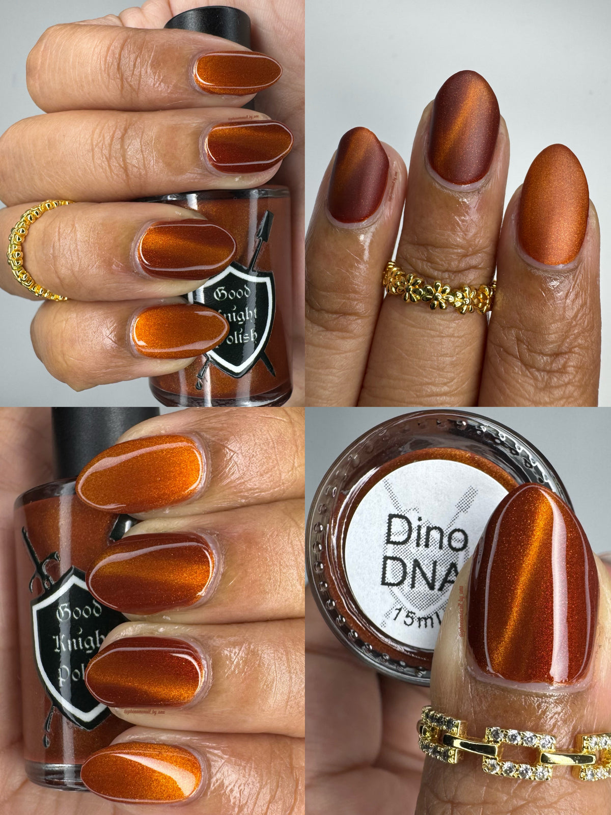 Dino DNA